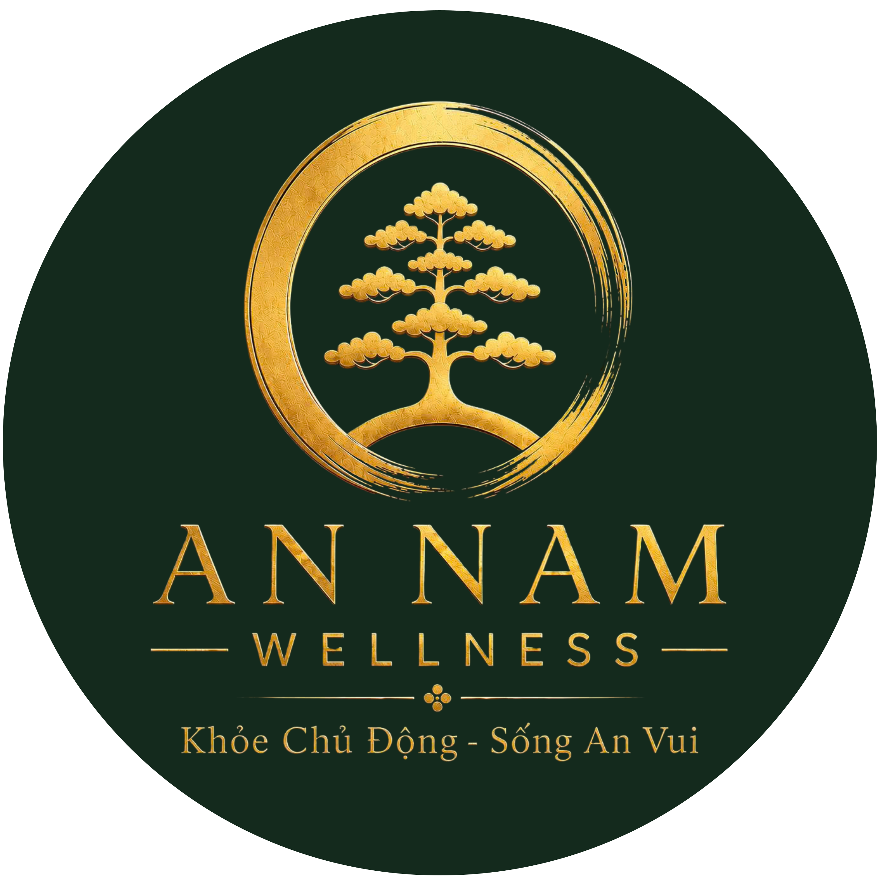 AN NAM WELLNESS JOINT STOCK COMPANY